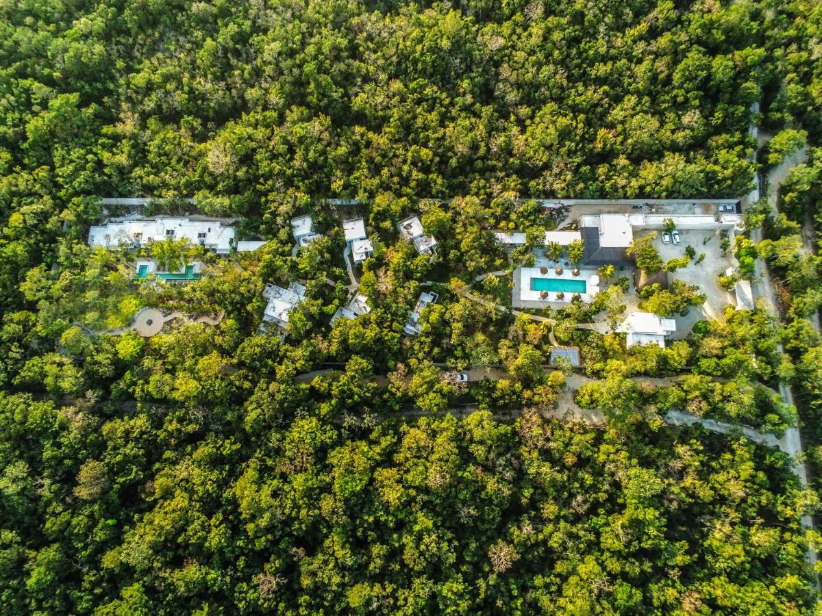 Jungle Lodge Boutique Hotel - Adults Only Chemuyil Exterior foto